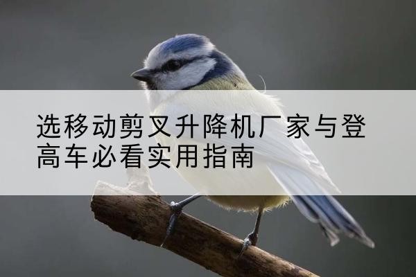 宾川电动升降机厂家-选移动剪叉升降机厂家与登高车必看实用指南