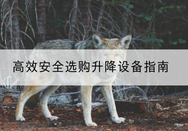 宾川升降货梯厂家推荐-*安全选购升降设备指南