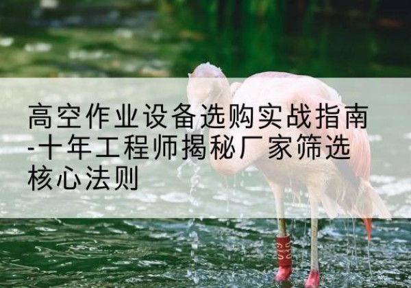 宾川剪叉式升降机厂家-高空作业设备选购实战指南-十年工程师揭秘厂家筛选核心法则